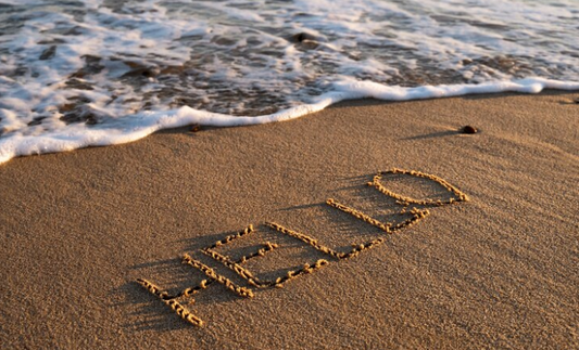 Celebrate Special Moments on the Beach with The Beach Oasis