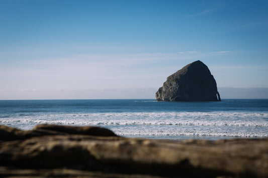 Beach Party Rentals Los Angeles for the Best Beach Experience
