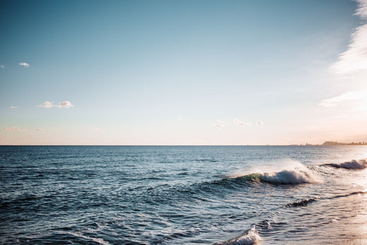 Hosting a Luxury Beach Picnic in Santa Monica