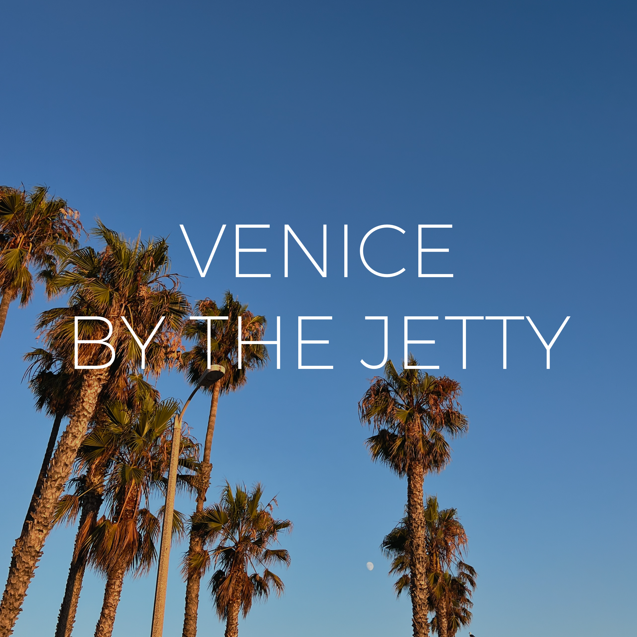 venice beach cabana rental