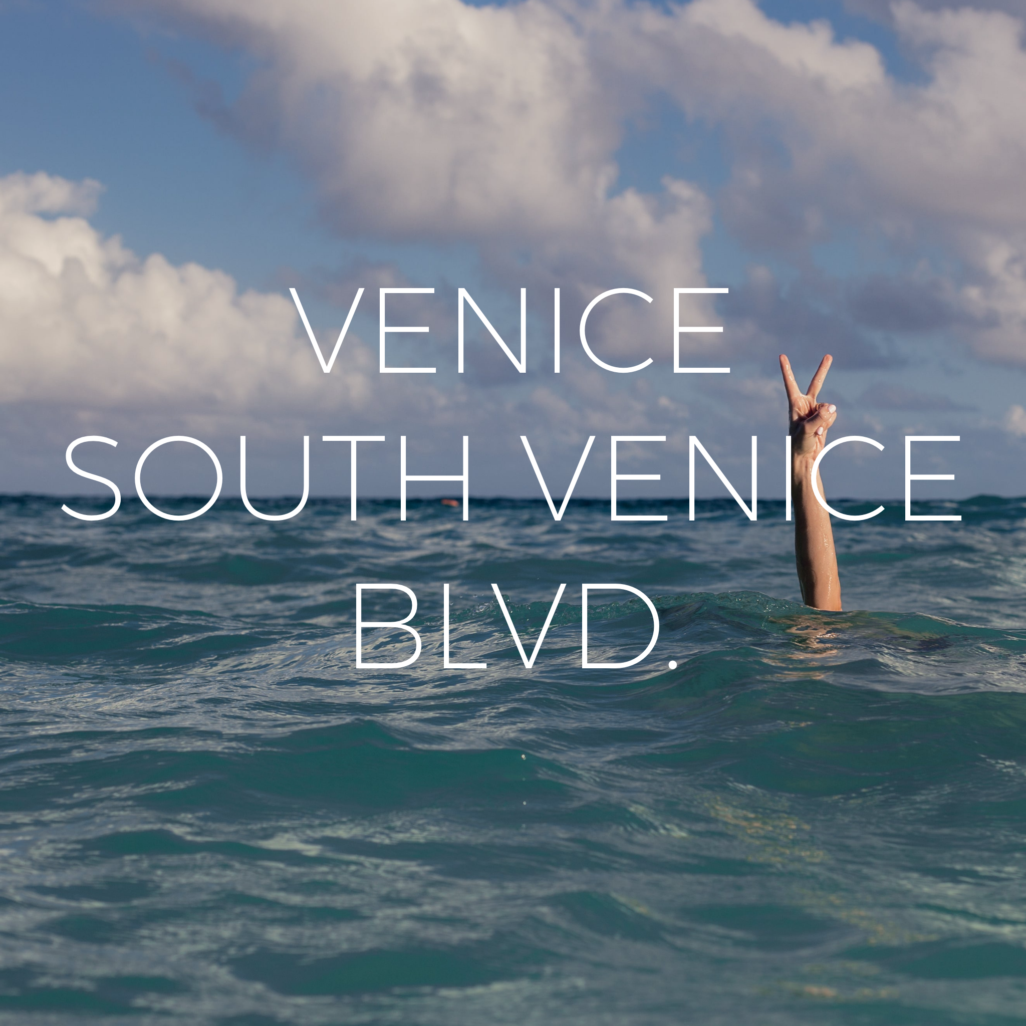 beach set up service Venice Beach