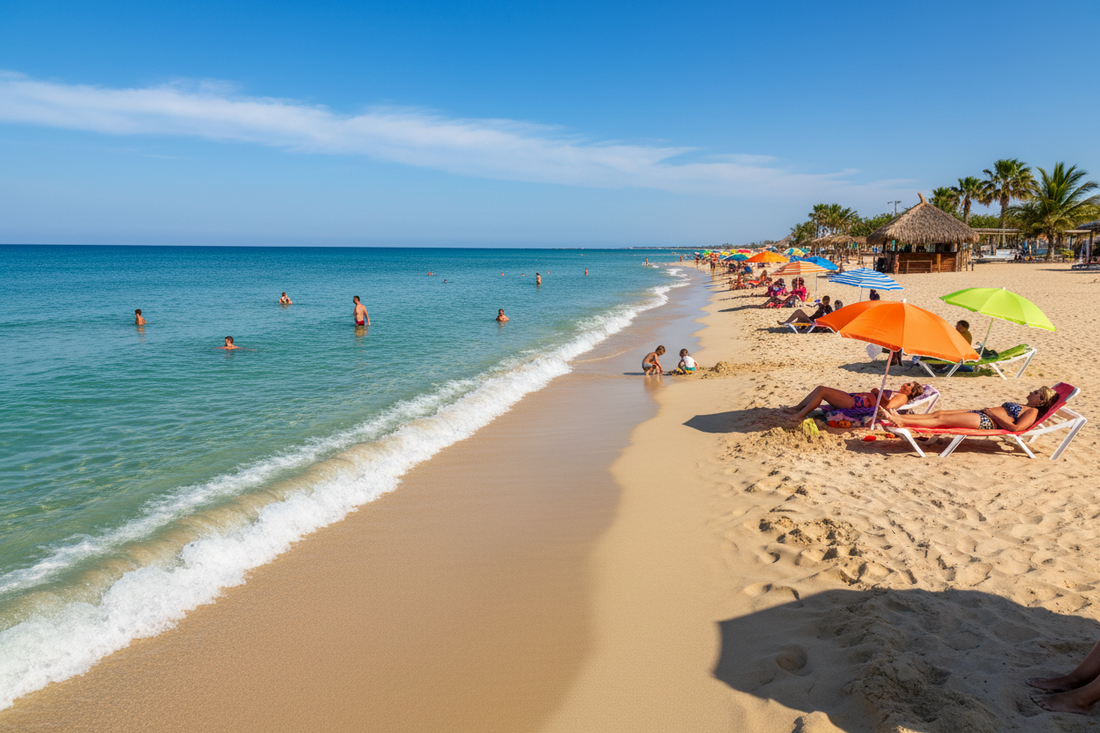 How to Plan a Luxury Beach Picnic in LA