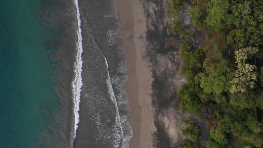 Top Tips for Hosting an Upscale Beach Party in Los Angeles
