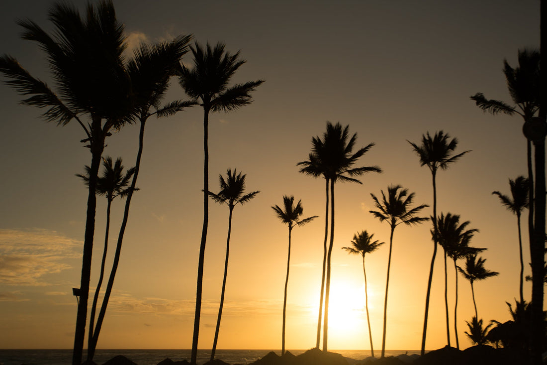 Celebrate National Picnic Month This July with a Beach Picnic in Los Angeles