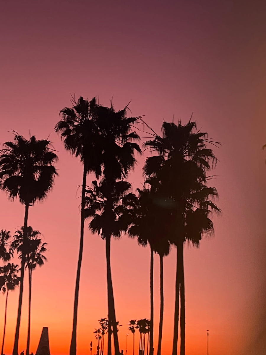 Venice Beach cabana setup by The Beach Oasis